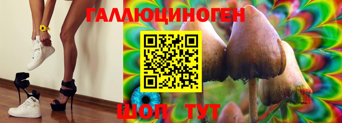 Асбест  Псилоцибиновые грибы GOLDEN TEACHER  продажа наркотиков  Вход с VPN 